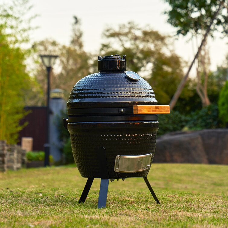 Charcoal hotsell kamado grill